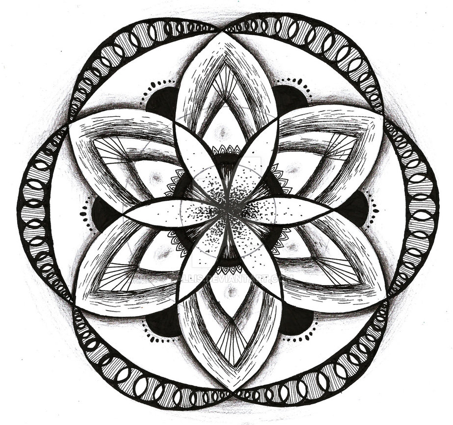 923x866 Seed Of Life Variation By Tallis