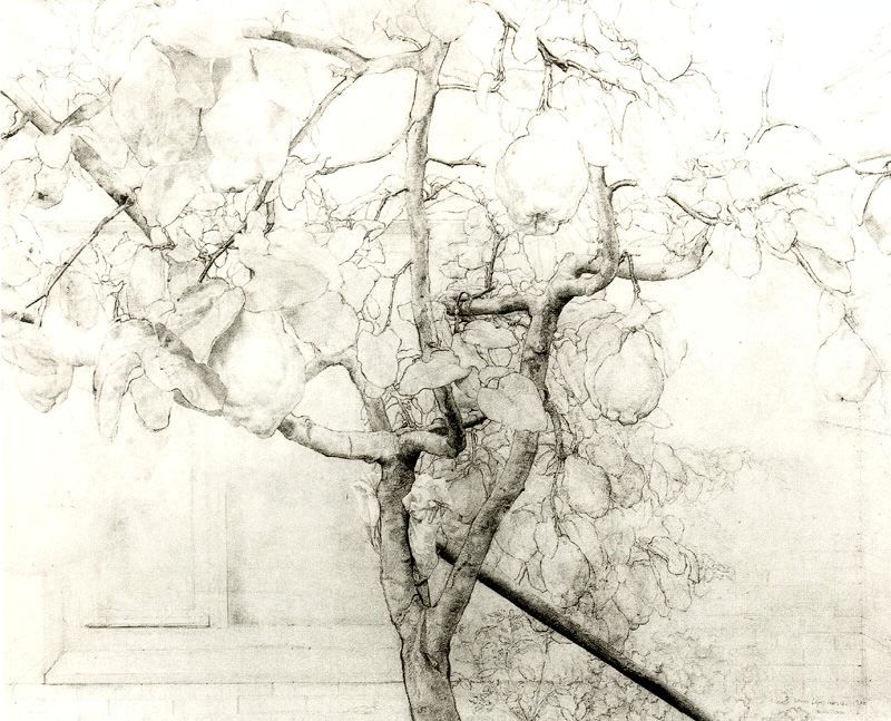 800x647 Antonio Lopez Garcia Drawing