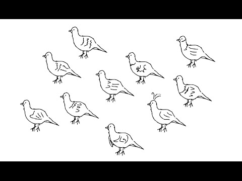 480x360 Genetic Variation, Gene Flow, And New Species (Video) Khan Academy