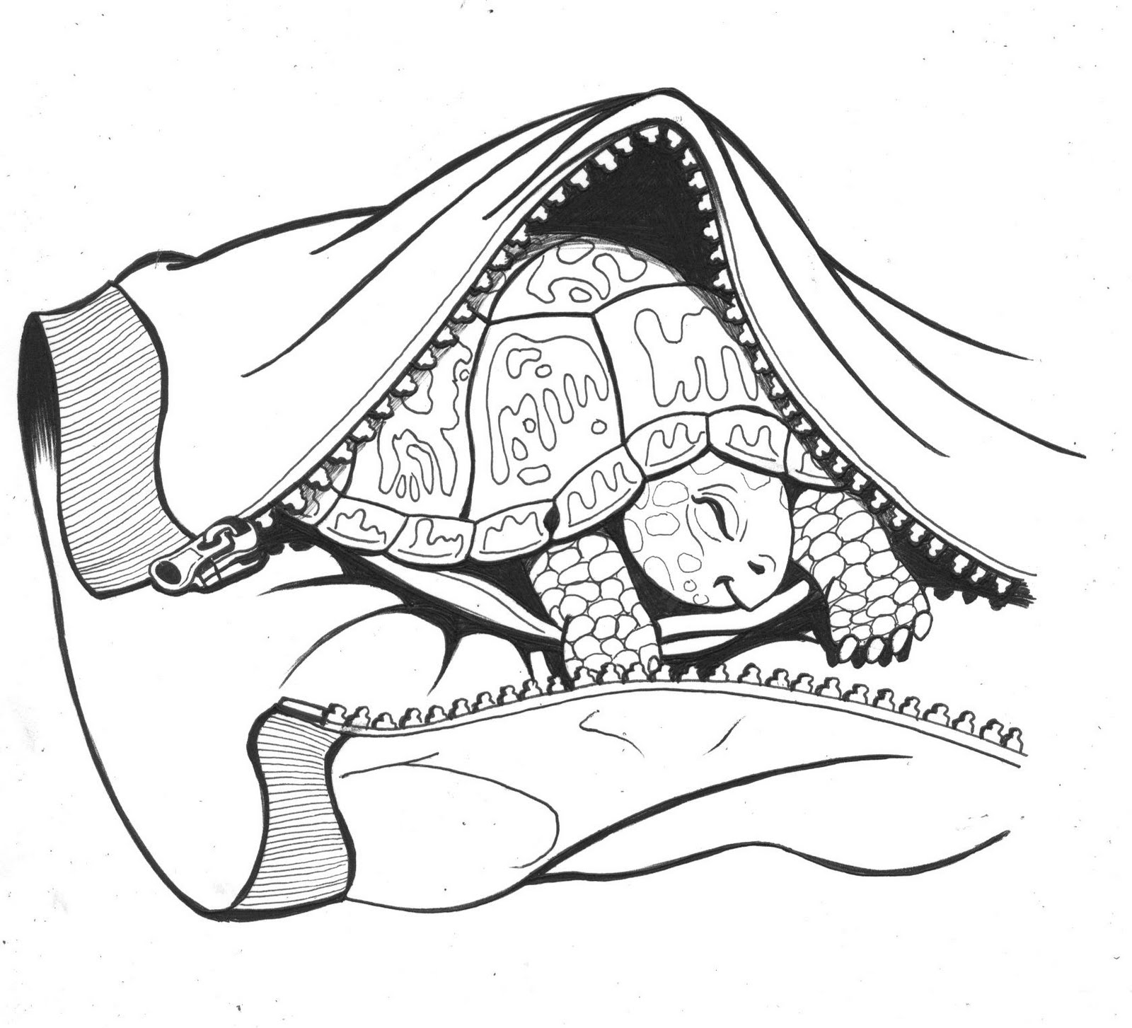 1600x1453 Mg Children's Book Illustrations Chapter Book Line Drawings