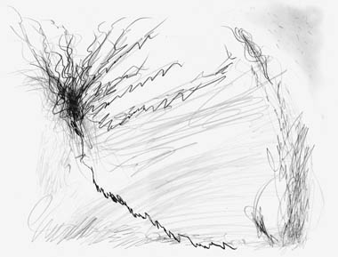 380x289 Nisha Drinkard