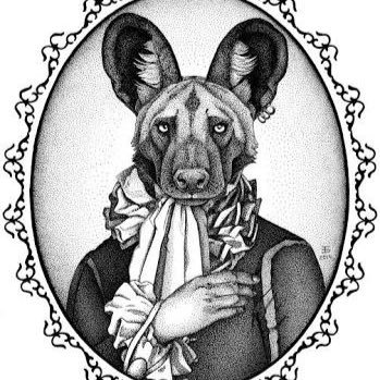 349x349 Liam Brickhill On Twitter Here Are A Few Scenes Of Veranda