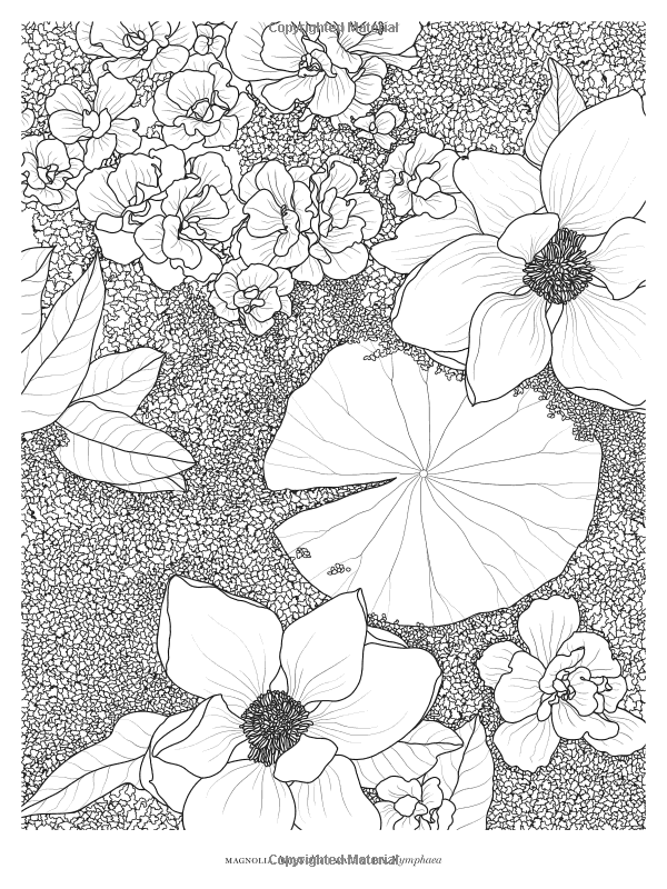 600x800 Veranda Flowers A Coloring Book Veranda 9781618372376 Amazon
