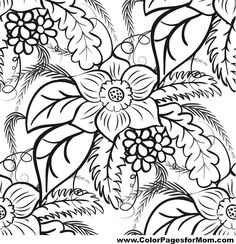 236x244 Veranda Flowers A Coloring Book By Veranda