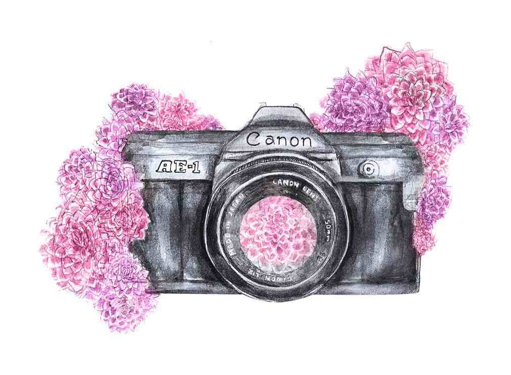 1011x743 Portal To The World S Rhcom