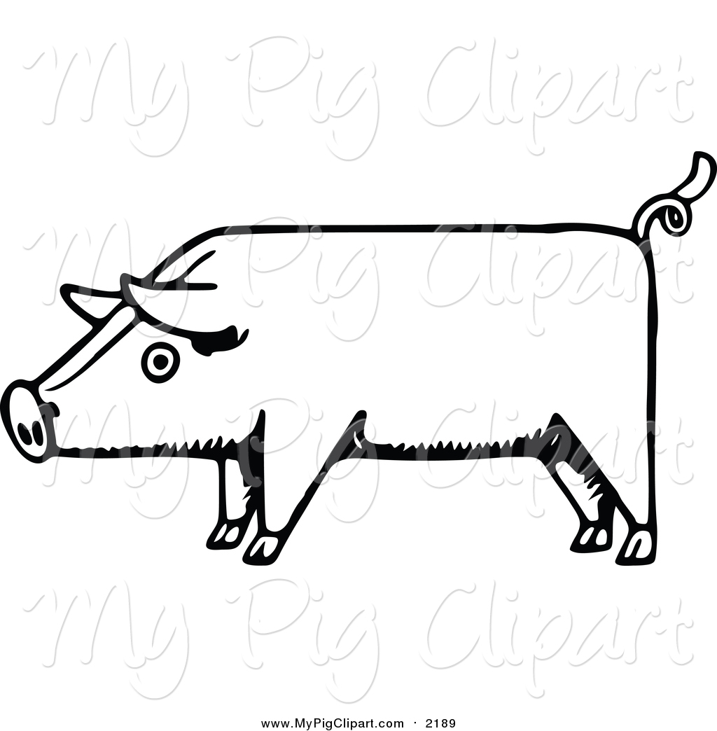 1024x1044 Swine Clipart Of A Sketched Pig
