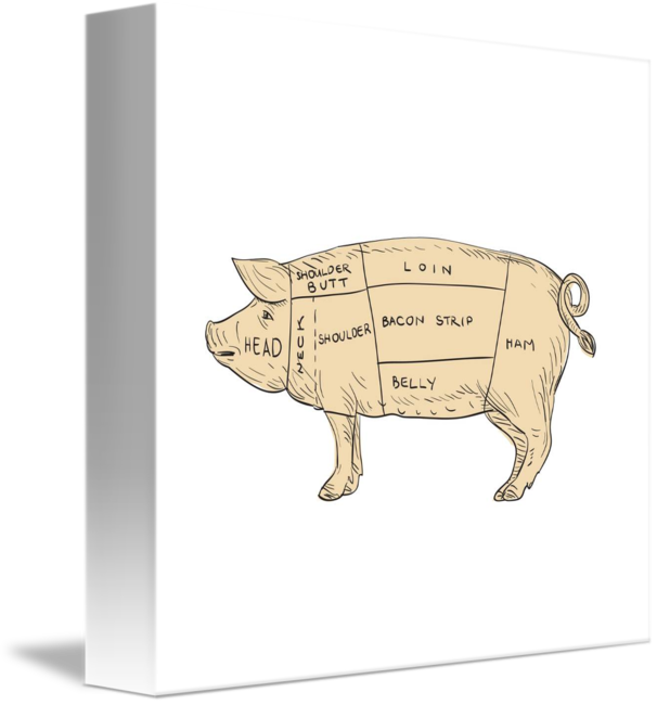 606x650 Vintage Pork Meat Cut Map Drawing By Aloysius Patrimonio
