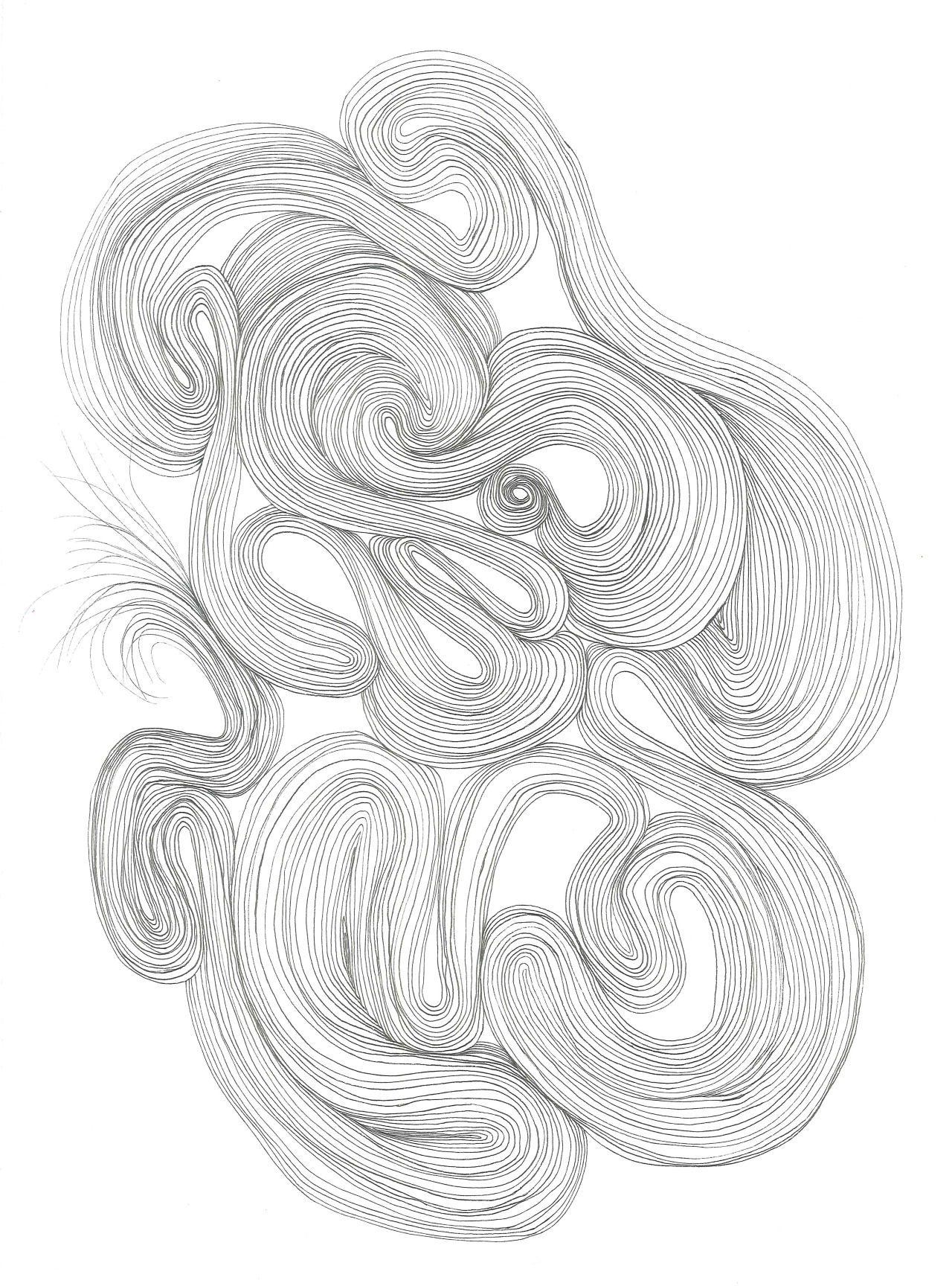 1280x1728 The Aldas Project Drawings For Good