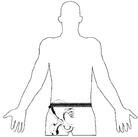 468x466 Tape Position For Measuring Waist Circumference. Download