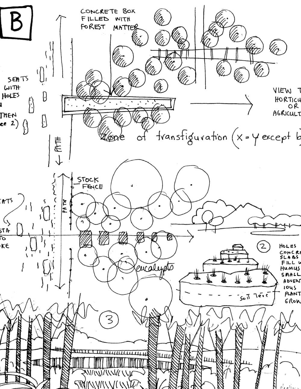 1000x1294 Matakana Walkway Rod Barnett