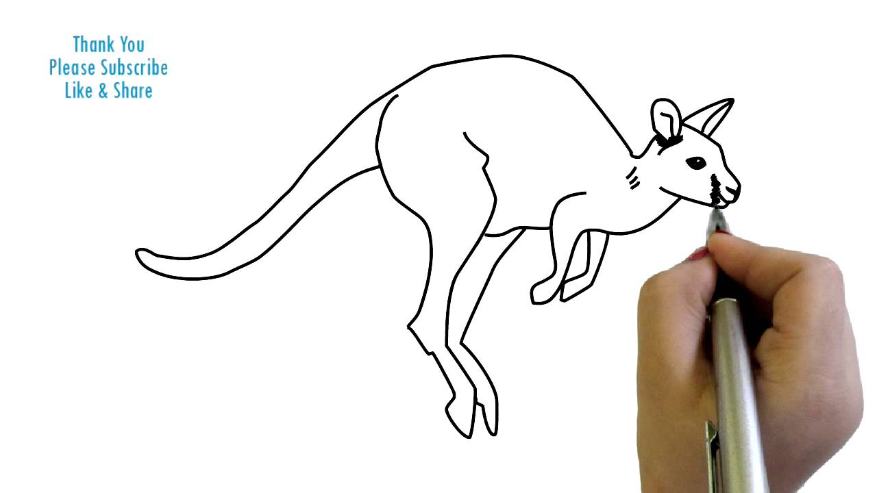 1280x720 How To Draw A Kangaroo Yzarts Yzarts