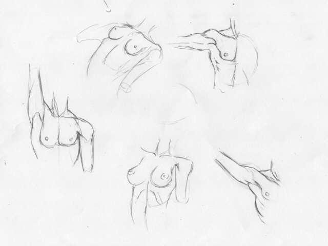 640x480 Beginner Sketchbook