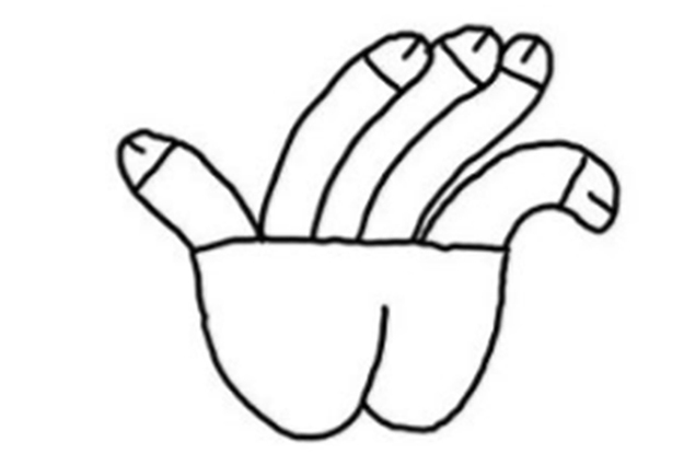 625x415 This Artist Will Teach You How To Draw Using The Penis Method