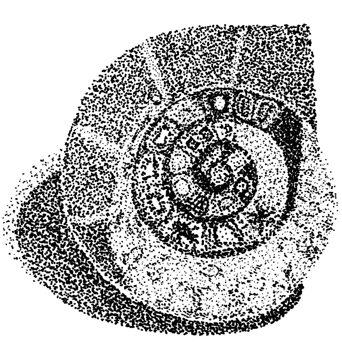 1192x1192 Sharing A Few Of My Pen Drawings Hand Drawn