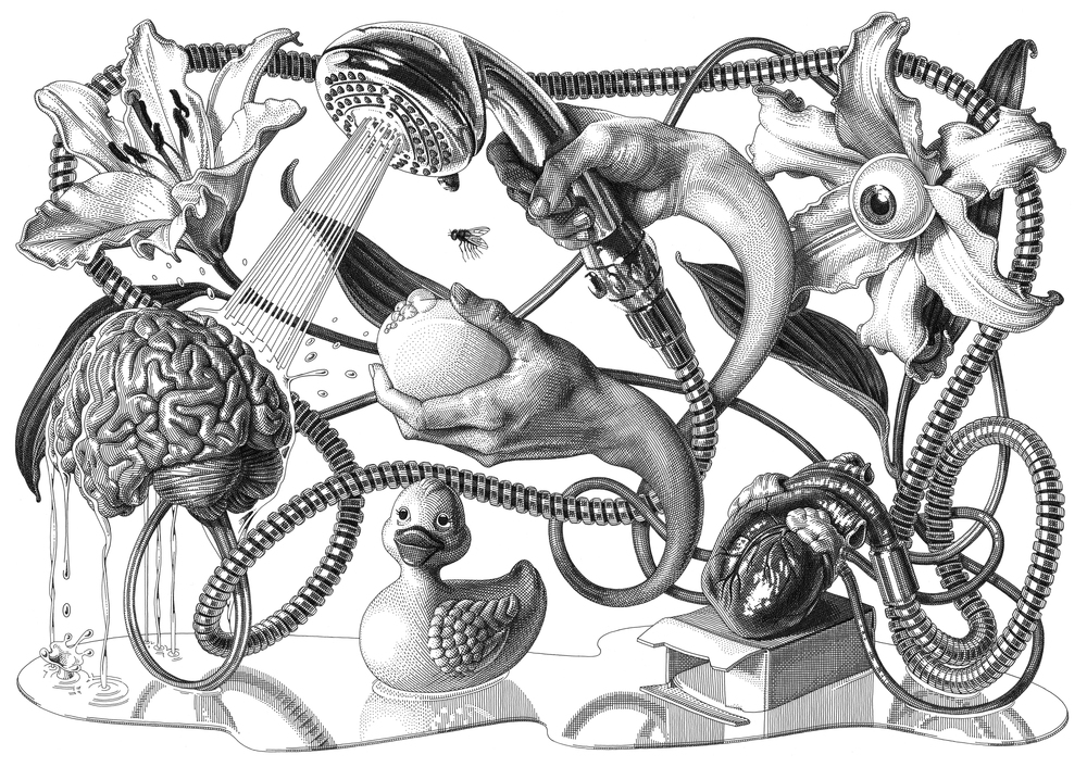 1000x706 Wash Olivia Knapp