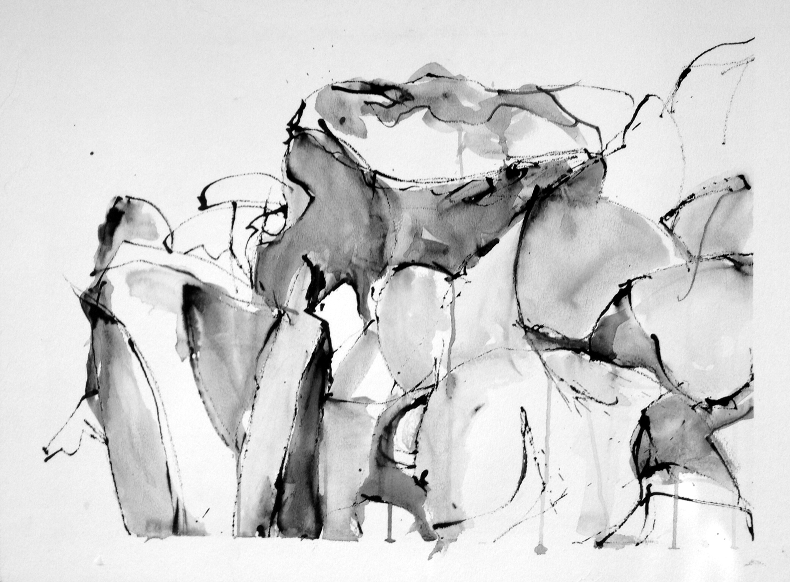 1584x1167 A New York Magpie's Eye Many Drawings And The Tools That Made Them