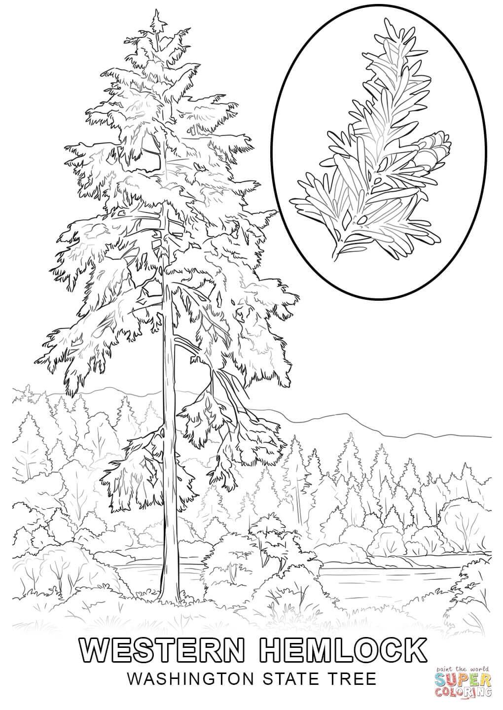 1020x1440 Surprise Tree Drawing Worksheet Coloring Pages On Awesome Click