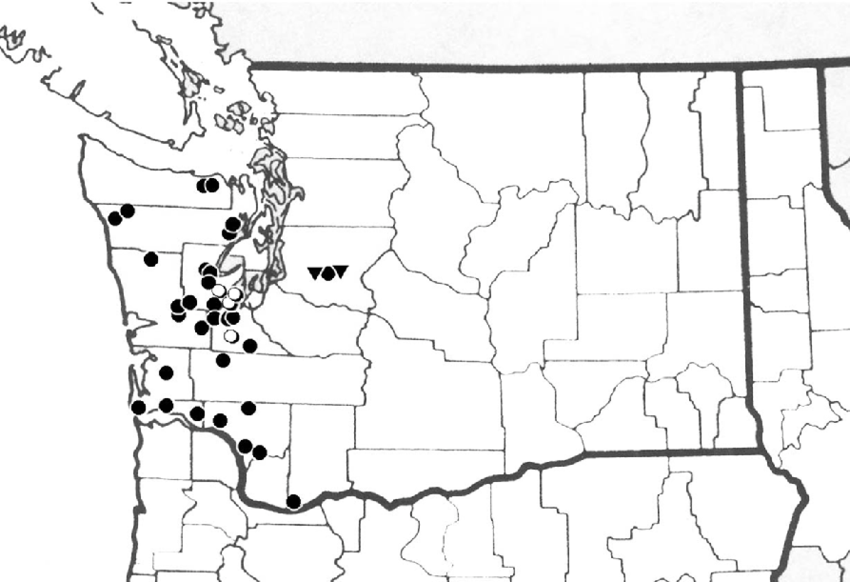 850x582 Map Of Washington State, Usa, Showing Distribution Of Caseya