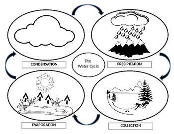 350x270 Water Cycle In Spanish Teaching Resources Teachers Pay Teachers