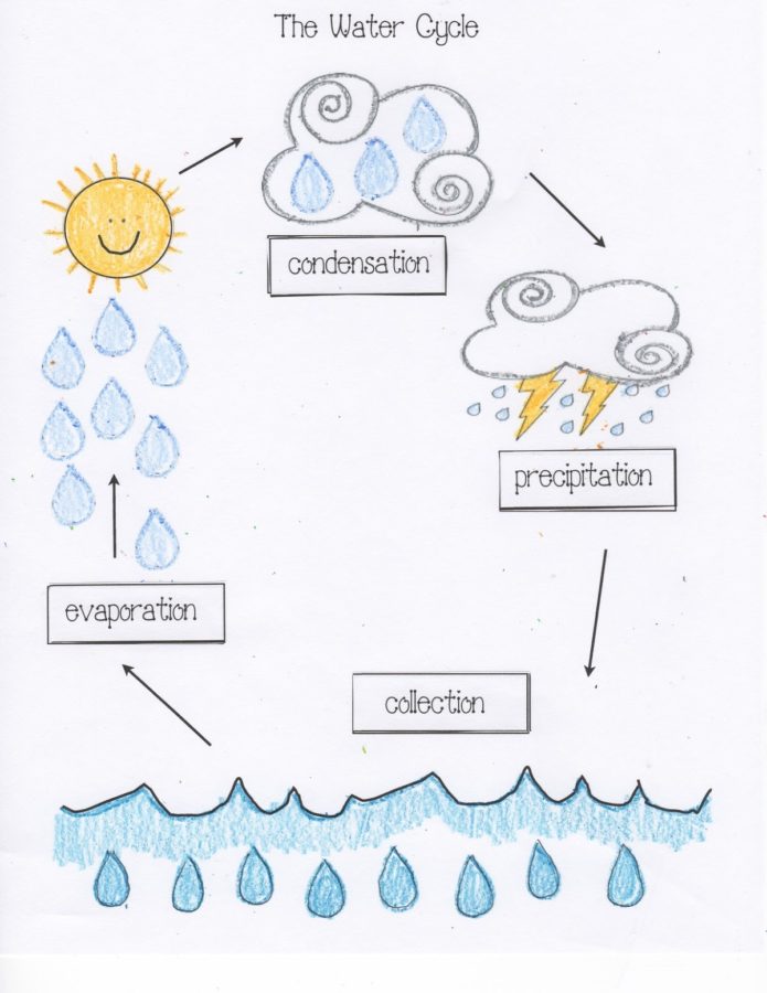 695x900 Blank Water Cycle Diagram]