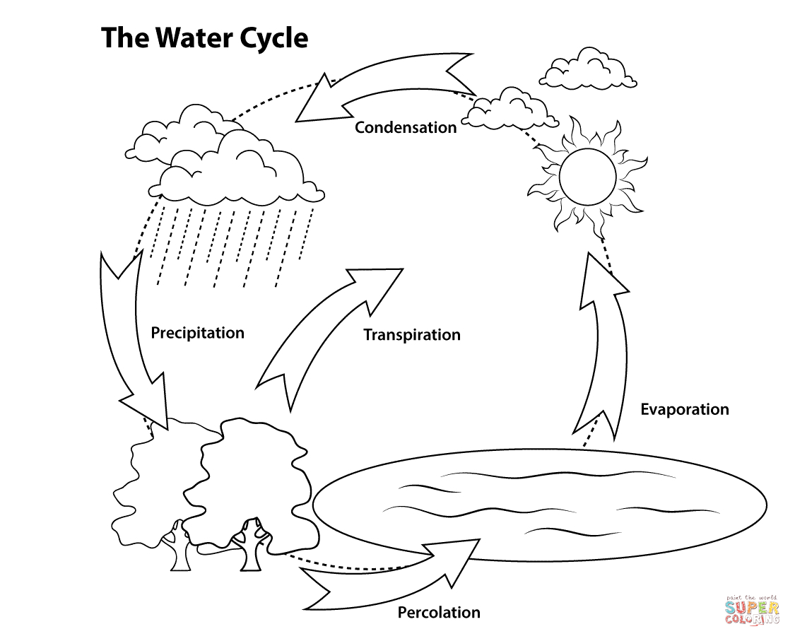 1125x907 Collection Of Water Cycle Drawing High Quality, Free