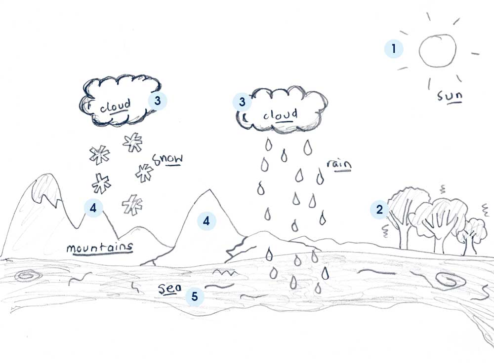 1000x738 Collection Of Water Cycle Simple Drawing High Quality, Free