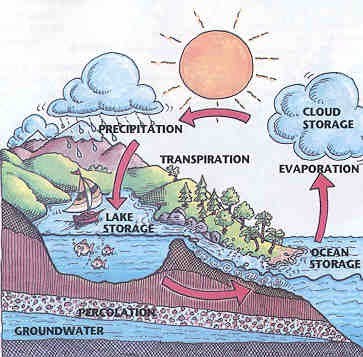 363x357 Collection Of Water Cycle Drawing Assignment High Quality