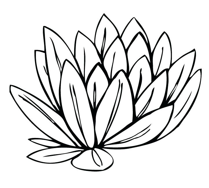 722x650 Lily Flower Clipart Free Download Best Lily Flower Clipart On 722