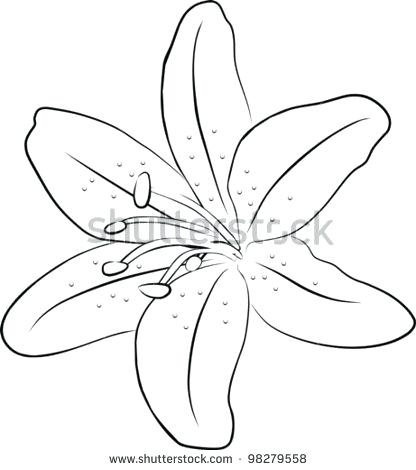 416x470 How To Draw A Water Lily Lily Flower Outline Vector Mehvishrawal