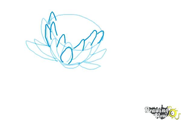 600x400 Water Lily Drawings Graphite Drawing Waterlily By Butt Water Lily