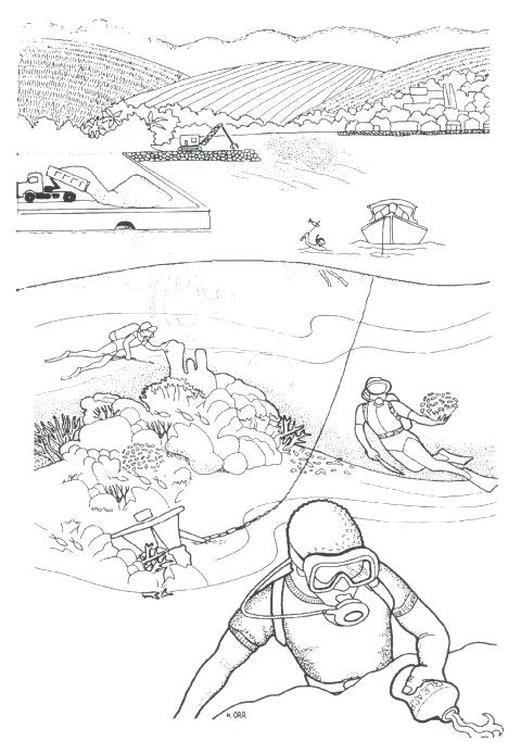 480x694 Tundra Habitat Coloring Pages Water Pollution
