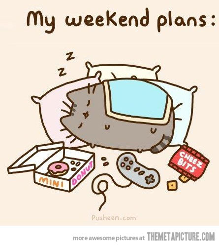 445x498 My Weekend Plans