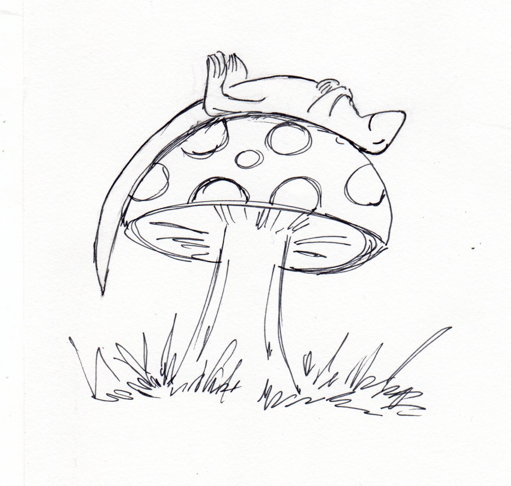 1737x1654 Drawing Prompt For 1 28 16