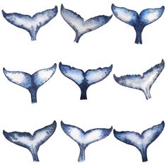 236x236 Whale Tail Tattoos Varios Whale Tail, Tattoo