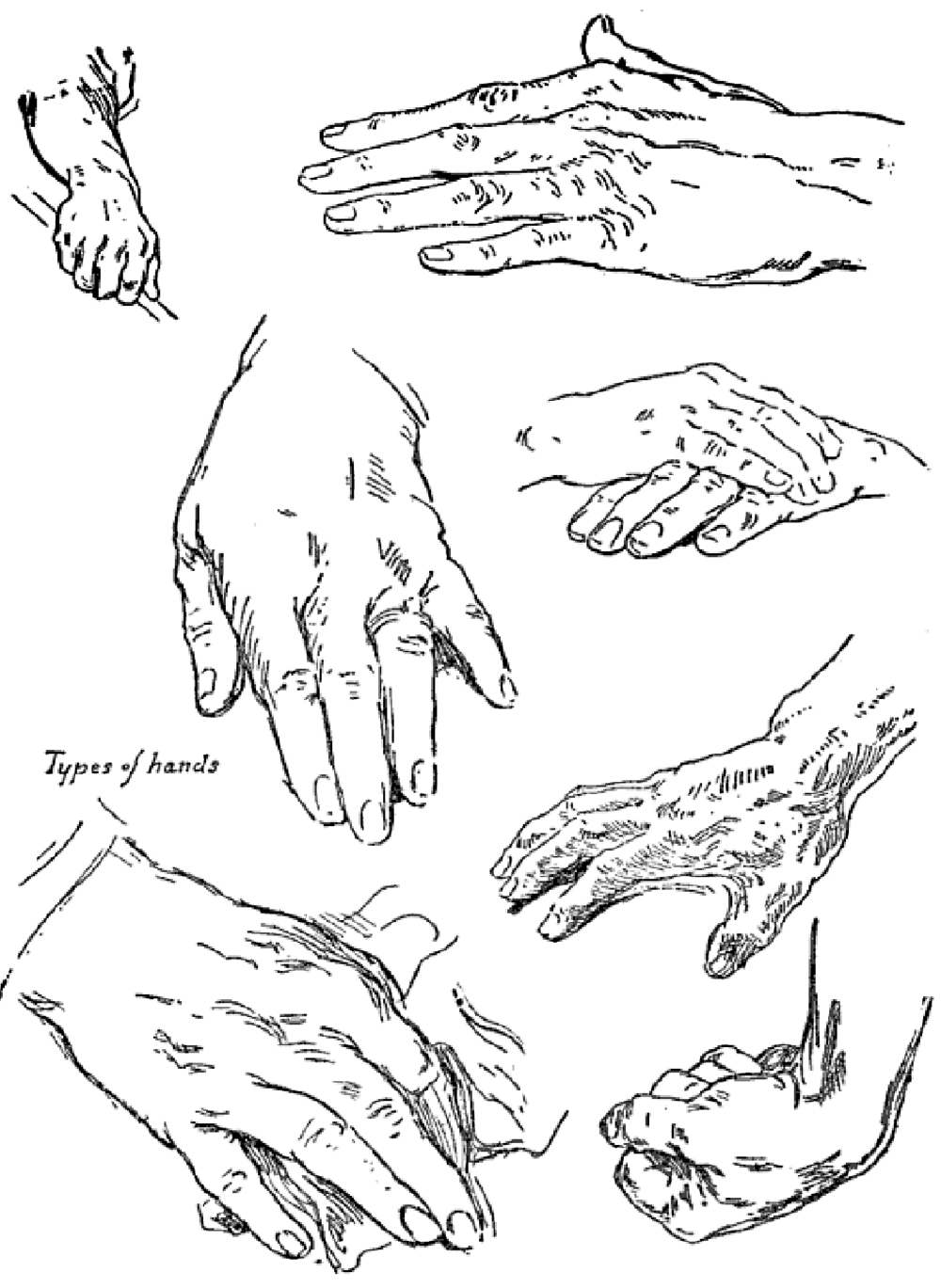1000x1369 Drawing Hands Techniques For How To Draw Hands With References