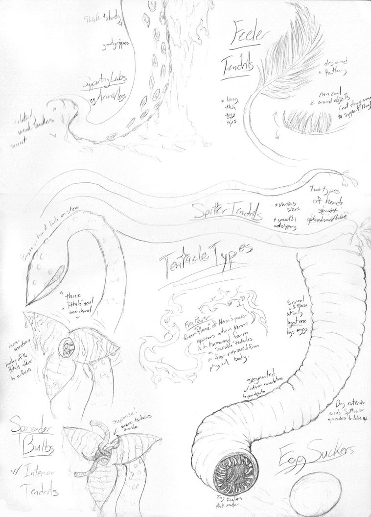 758x1055 Tentacle Types Reference Sheet By Ziarenete13x