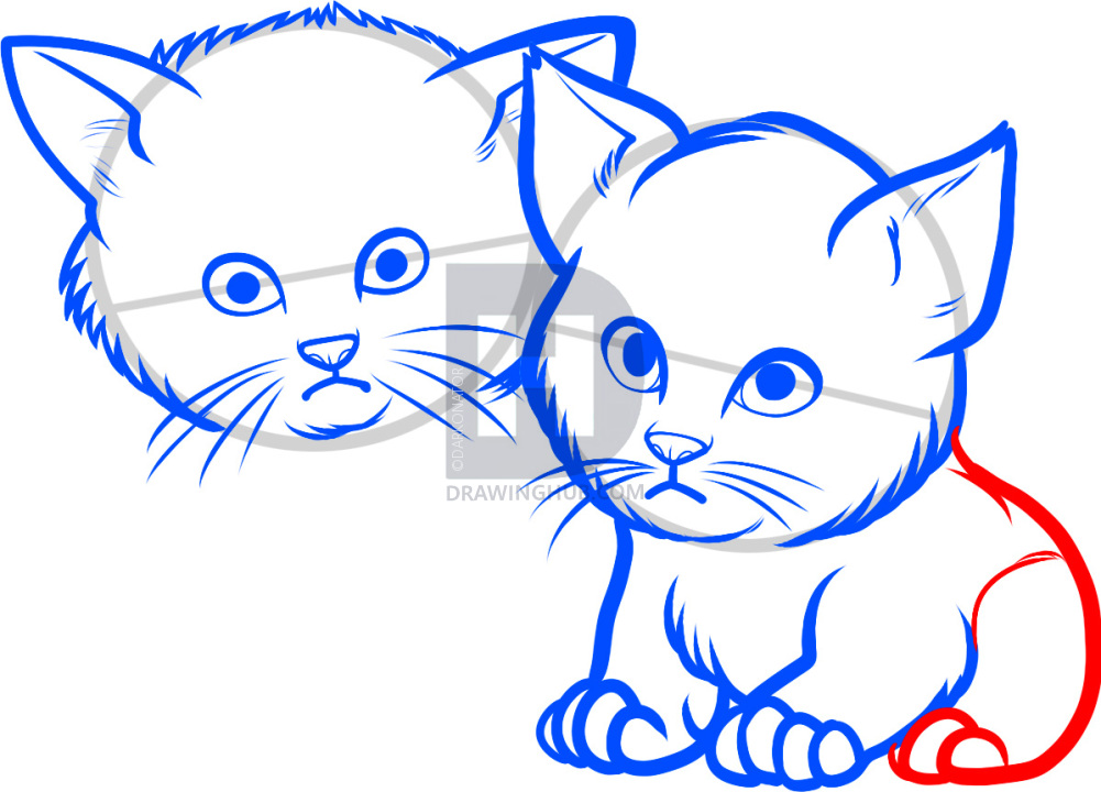 1001x720 How To Draw Baby Kittens, Baby Kittens, Step By Step, Drawing
