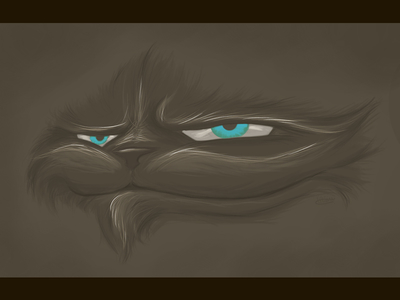 400x300 Mr Whisker By Lilian De Jong