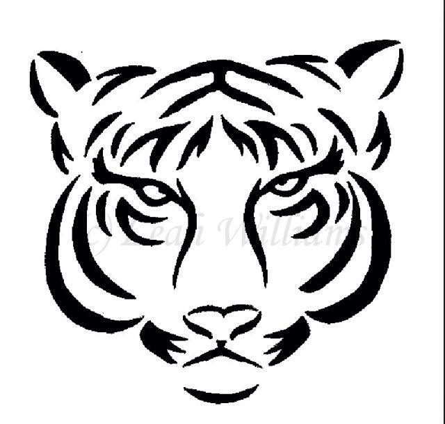White Tiger Face Drawing