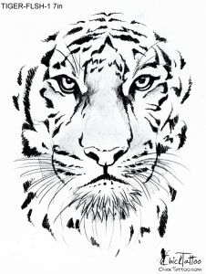 226x300 I Absolutely Love This Tiger. Just Might Be The One I'M Looking