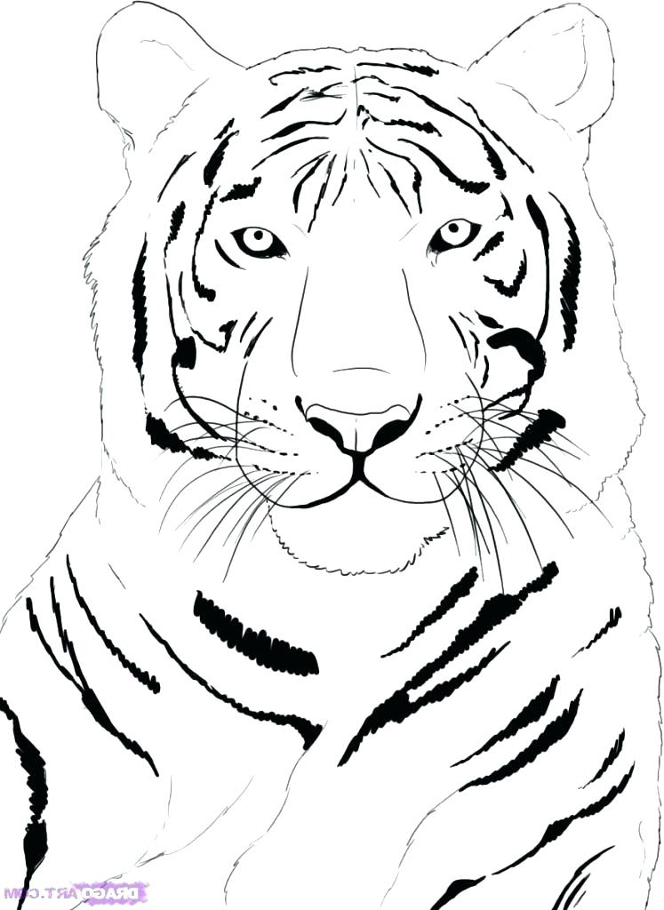747x1024 Simple Tiger Face Outline Tiger Face Outline Tattoo Tiger Outline