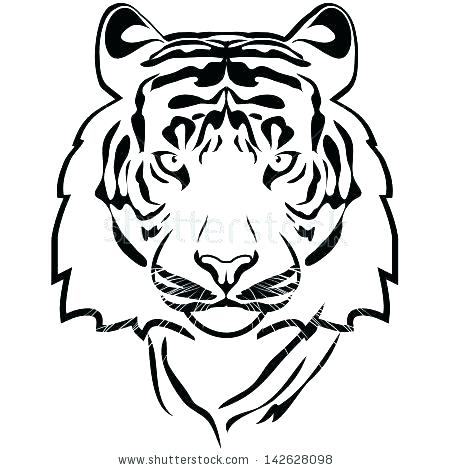 White Tiger Face Drawing at GetDrawings | Free download