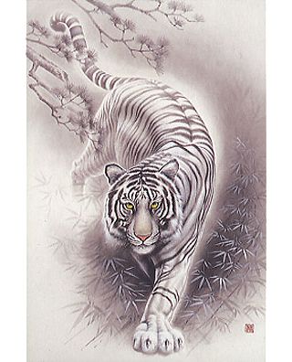 320x396 Drawn White Tiger Small Tiger Face