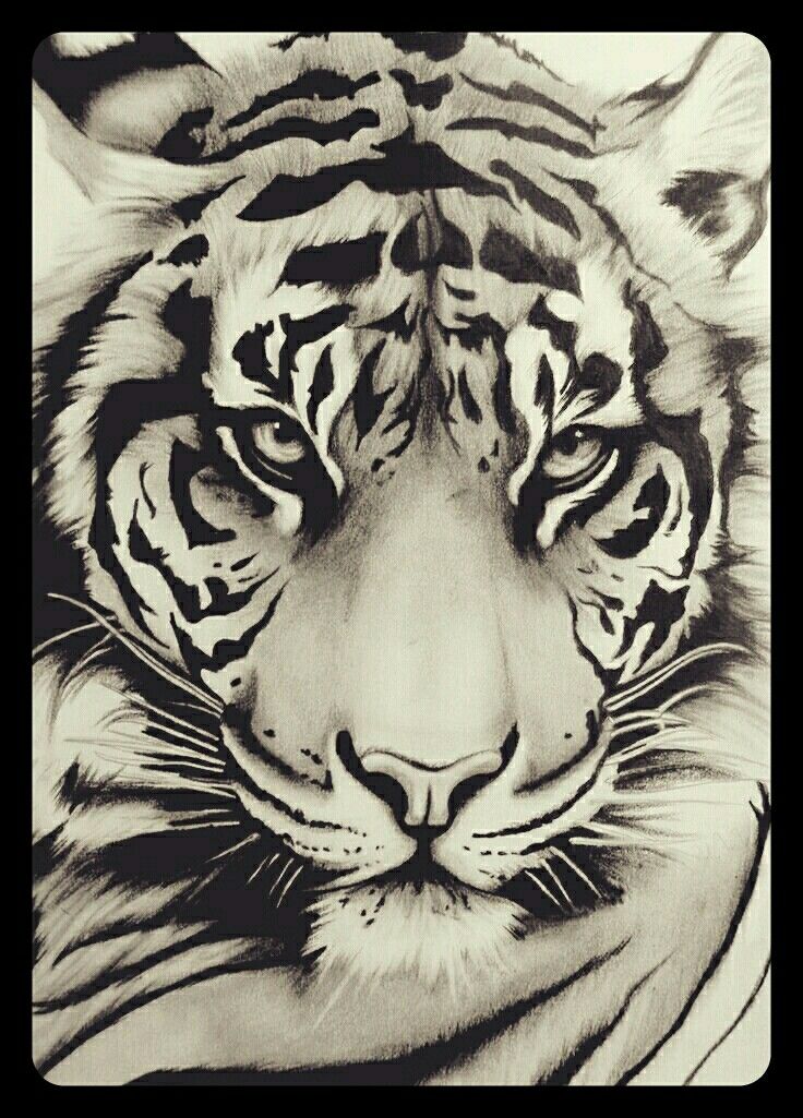 736x1025 Pin By On Tattoo Tigers, Tattoo And Animal