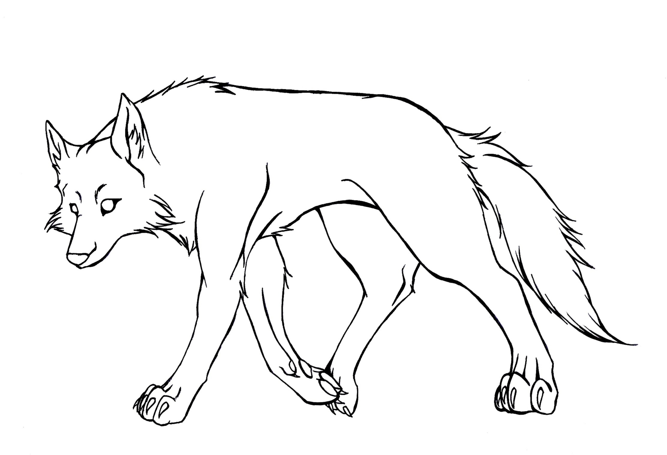 2224x1519 Cartoon Wolf Drawing Wolf Lineart By Tcs1992 What I