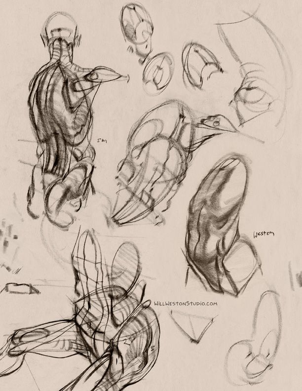 612x792 The 19 Best Analytical Drawing Technique Images