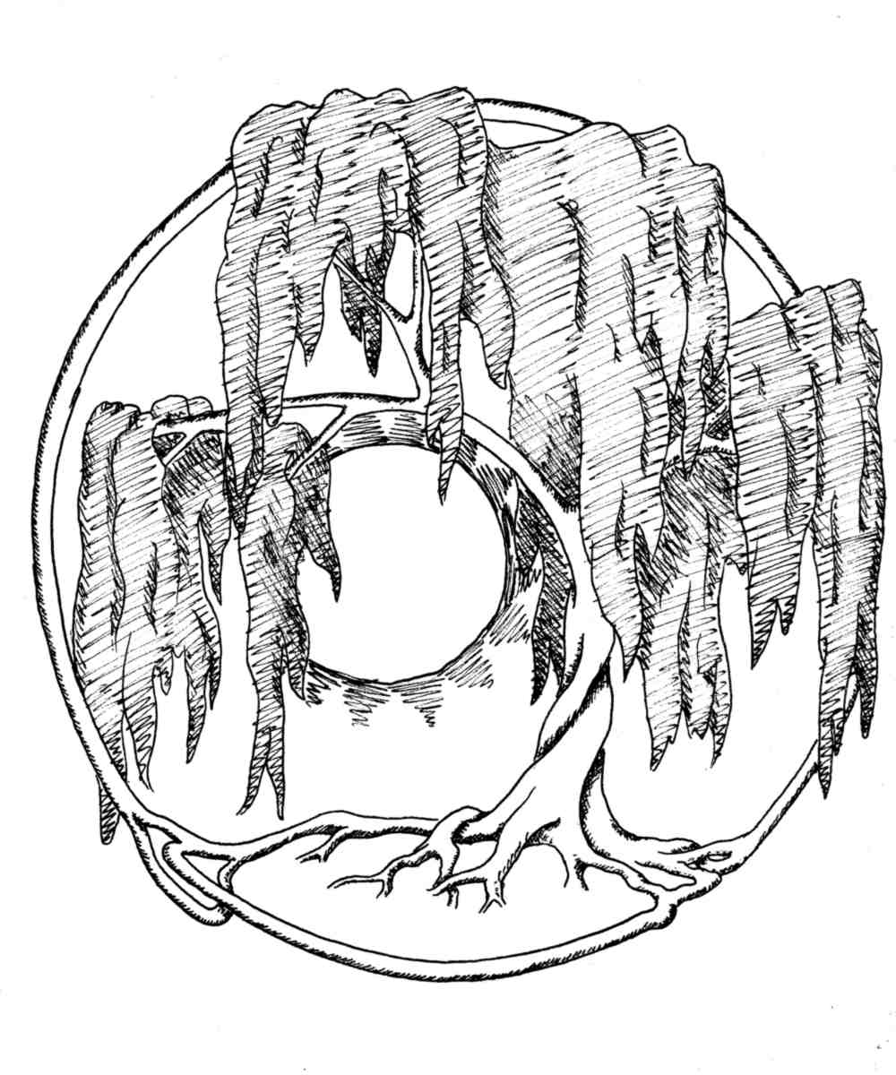 1000x1200 Tree Of Life Ink Drawing Matthew French Holt