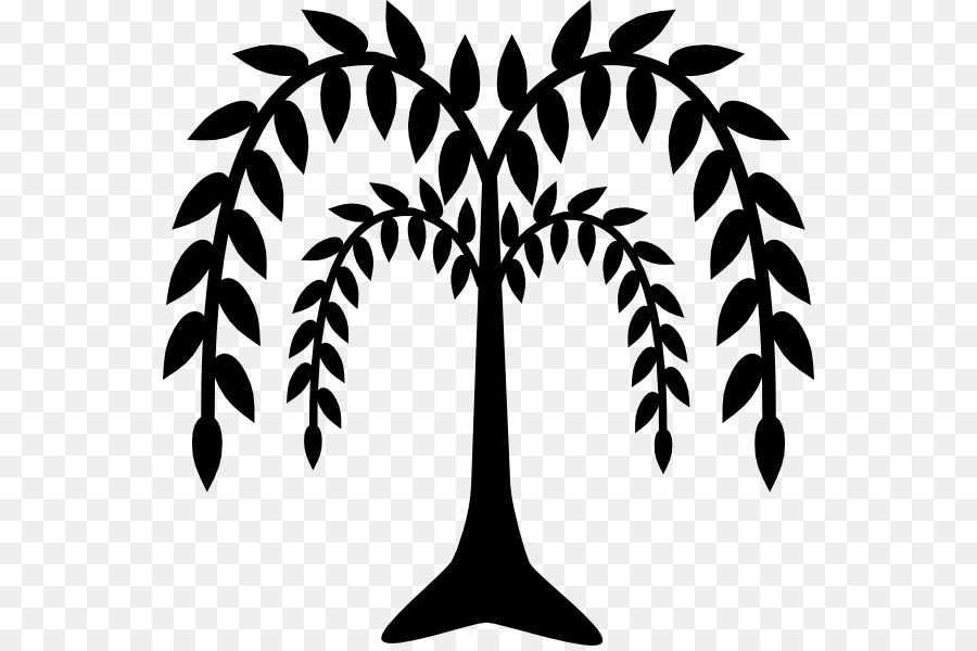 900x600 Weeping Willow Tree Drawing Clip Art