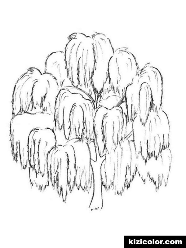 600x800 Willow Tree 3