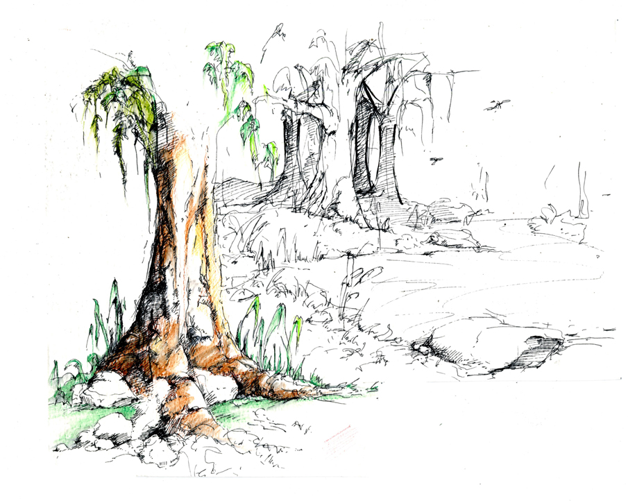 905x722 Weeping Willow Trees By Kidtrip98